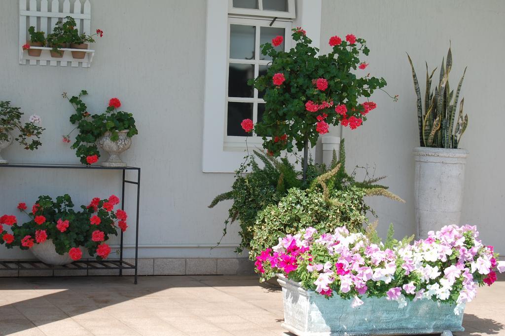 Sandals Guest House Durban Kültér fotó